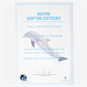 Dolphin Certificate
